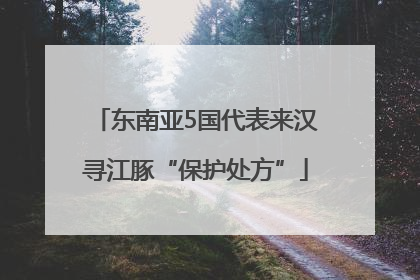 东南亚5国代表来汉寻江豚“保护处方”