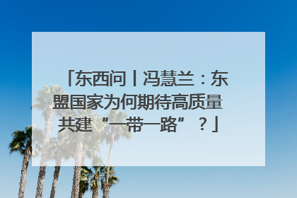 东西问丨冯慧兰：东盟国家为何期待高质量共建“一带一路”？