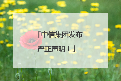 中信集团发布严正声明！