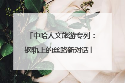 中哈人文旅游专列：钢轨上的丝路新对话