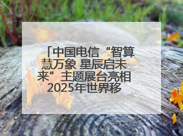 中国电信“智算慧万象 星辰启未来”主题展台亮相2025年世界移动通信大会