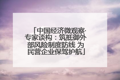 中国经济微观察·专家谈构：筑抵御外部风险制度防线 为民营企业保驾护航