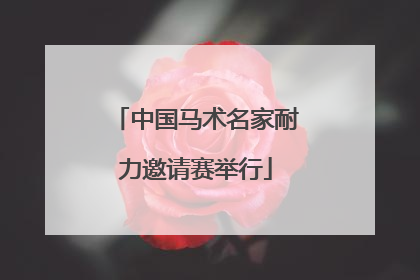 中国马术名家耐力邀请赛举行