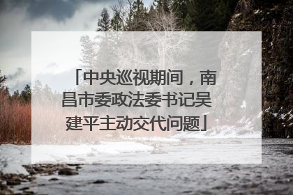 中央巡视期间，南昌市委政法委书记吴建平主动交代问题