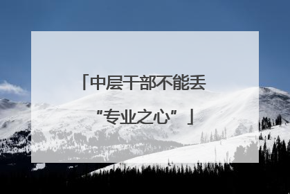 中层干部不能丢“专业之心”
