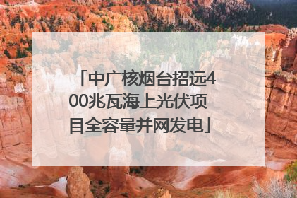 中广核烟台招远400兆瓦海上光伏项目全容量并网发电