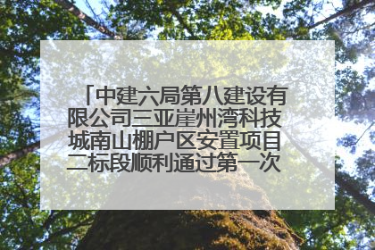 中建六局第八建设有限公司三亚崖州湾科技城南山棚户区安置项目二标段顺利通过第一次主体结构验收