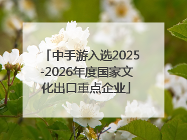 中手游入选2025-2026年度国家文化出口重点企业
