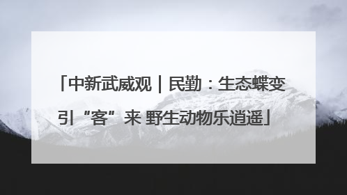 中新武威观｜民勤：生态蝶变引“客”来 野生动物乐逍遥