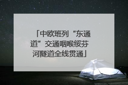 中欧班列“东通道”交通咽喉绥芬河隧道全线贯通