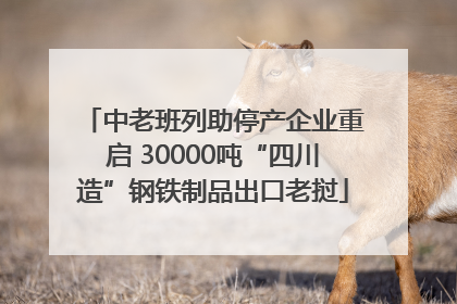 中老班列助停产企业重启 30000吨“四川造”钢铁制品出口老挝