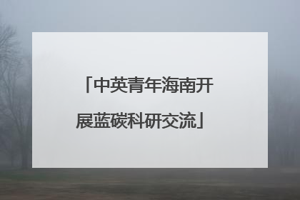 中英青年海南开展蓝碳科研交流