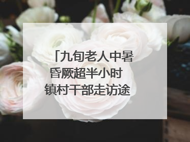 九旬老人中暑昏厥超半小时 镇村干部走访途中发现及时施救｜看见正能量