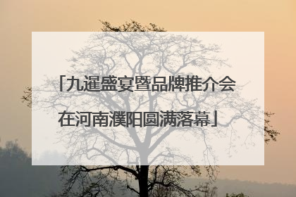九暹盛宴暨品牌推介会在河南濮阳圆满落幕