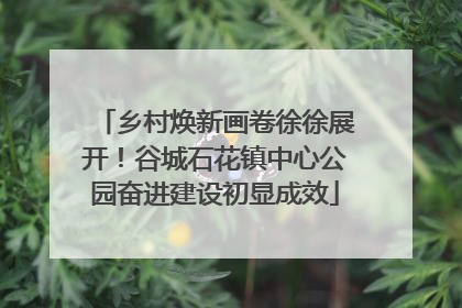 乡村焕新画卷徐徐展开！谷城石花镇中心公园奋进建设初显成效
