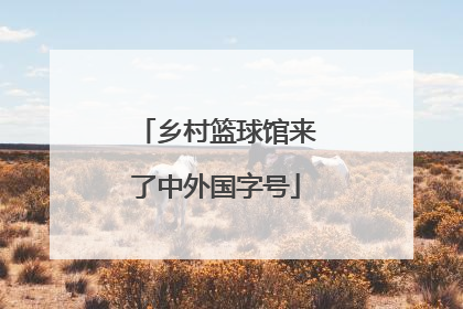 乡村篮球馆来了中外国字号
