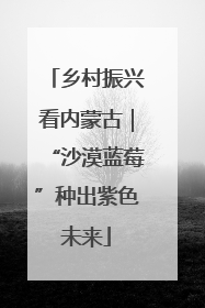 乡村振兴看内蒙古｜“沙漠蓝莓”种出紫色未来