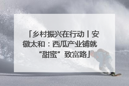 乡村振兴在行动丨安徽太和：西瓜产业铺就“甜蜜”致富路