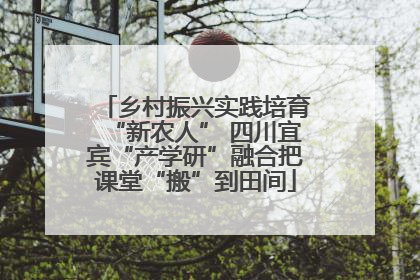 乡村振兴实践培育“新农人” 四川宜宾“产学研”融合把课堂“搬”到田间