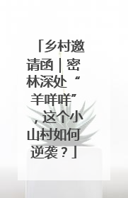 乡村邀请函｜密林深处“羊咩咩”，这个小山村如何逆袭？