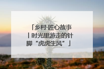 乡村·匠心故事丨时光里游走的针脚“虎虎生风”