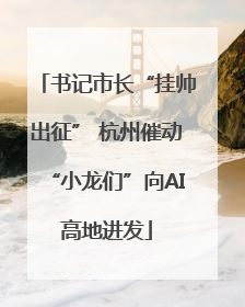 书记市长“挂帅出征” 杭州催动“小龙们”向AI高地进发
