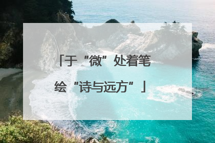 于“微”处着笔 绘“诗与远方”