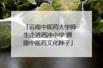 云南中医药大学师生走进西冲小学 播撒中医药文化种子