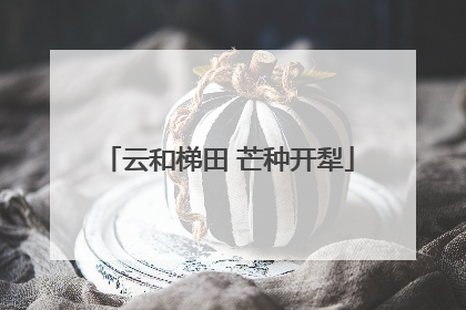 云和梯田 芒种开犁