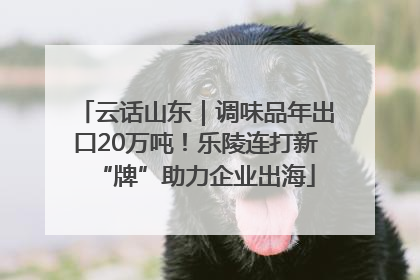云话山东｜调味品年出口20万吨！乐陵连打新“牌”助力企业出海