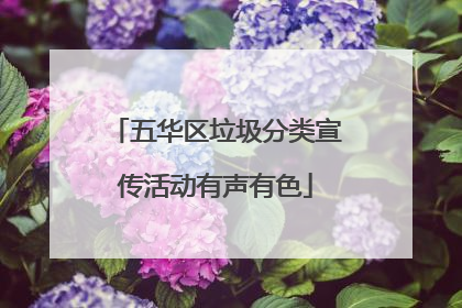 五华区垃圾分类宣传活动有声有色