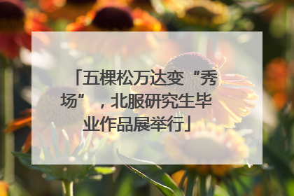 五棵松万达变“秀场”，北服研究生毕业作品展举行