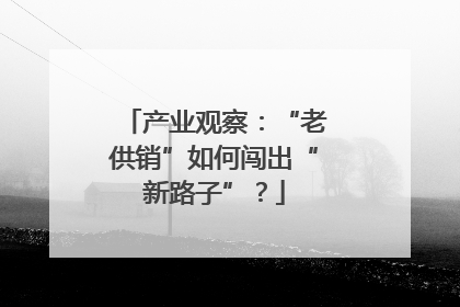 产业观察：“老供销”如何闯出“新路子”？