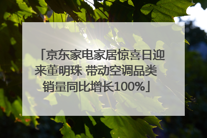 京东家电家居惊喜日迎来董明珠 带动空调品类销量同比增长100%