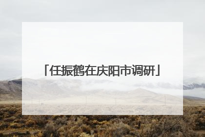 任振鹤在庆阳市调研
