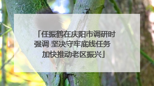 任振鹤在庆阳市调研时强调 坚决守牢底线任务 加快推动老区振兴