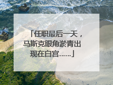 任职最后一天，马斯克眼角淤青出现在白宫……