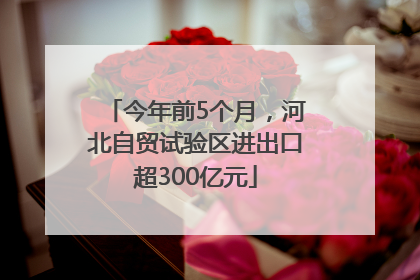 今年前5个月，河北自贸试验区进出口超300亿元