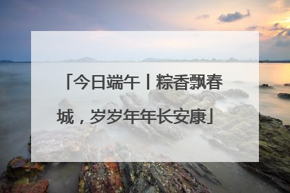 今日端午丨粽香飘春城，岁岁年年长安康