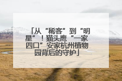 从“稀客”到“明星”！猫头鹰“一家四口”安家杭州植物园背后的守护