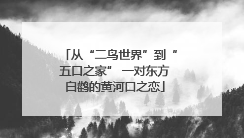 从“二鸟世界”到“五口之家” 一对东方白鹳的黄河口之恋