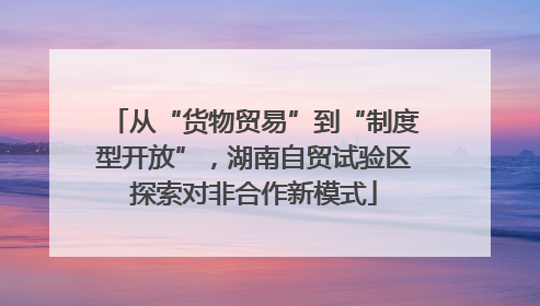 从“货物贸易”到“制度型开放”，湖南自贸试验区探索对非合作新模式
