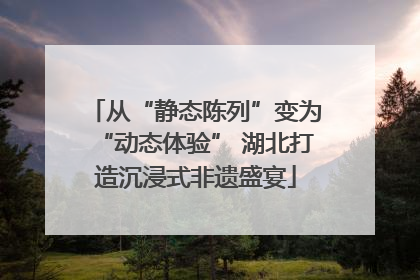 从“静态陈列”变为“动态体验” 湖北打造沉浸式非遗盛宴