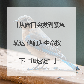 从窗口突发到紧急转运 他们为生命按下“加速键”