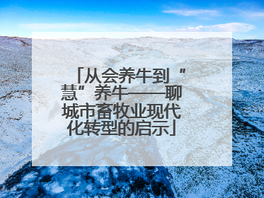 从会养牛到“慧”养牛——聊城市畜牧业现代化转型的启示