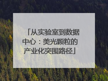 从实验室到数据中心：美光颗粒的产业化突围路径