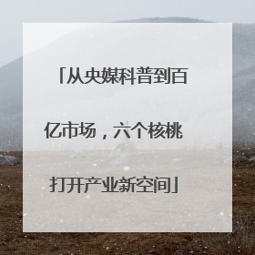从央媒科普到百亿市场，六个核桃打开产业新空间