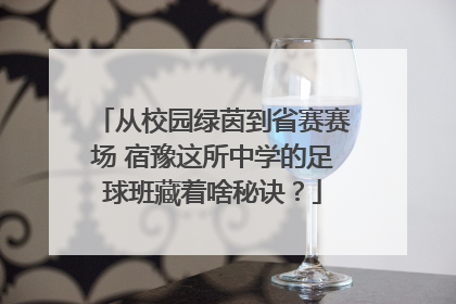 从校园绿茵到省赛赛场 宿豫这所中学的足球班藏着啥秘诀？