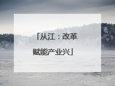 从江：改革赋能产业兴