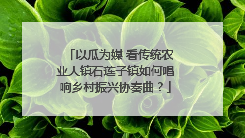 以瓜为媒 看传统农业大镇石莲子镇如何唱响乡村振兴协奏曲？